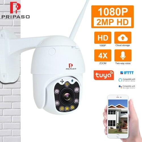 Pripaso 1080P Outdoor PTZ Wireless IP Camera TuyaSmart Mobile App with Two Way Audio CCTV Auto IR Night Vision Mini Dome Camera