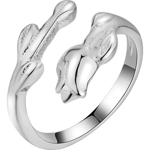 0 Hot silver plated Ring ,fashion jewelry Ring , /DDQDLDUA LLGPEXBG