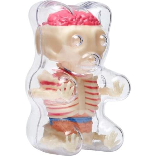 4D MASTER Anatomy bear assembly model DIY soft candy Bear Toy Puzzle gift