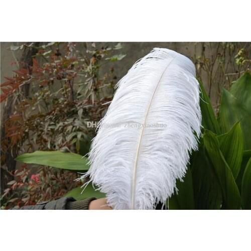 50pcs 30-35 cm / 12-14'' White color ostrich decorative plumes feather wedding table decoration centerpieces for bulk sale