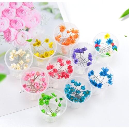 Hot Sell Bouquet Star Chrysanthemum Dried Flower Mini Daisy Floral Arrangement For UV Resin Sieraden Maken Kit