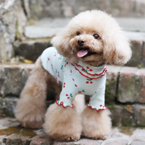 Cotton Dog T-shirt Spring Autumn Dog Clothes Pajamas Cat Puppy Chihuahua Yorkie Small Dog Costume Poodle Pomeranian Clothing