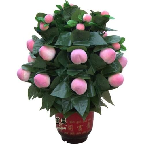 Free Shipping 20 Blooming Peachs - Remote Control Magic Tricks