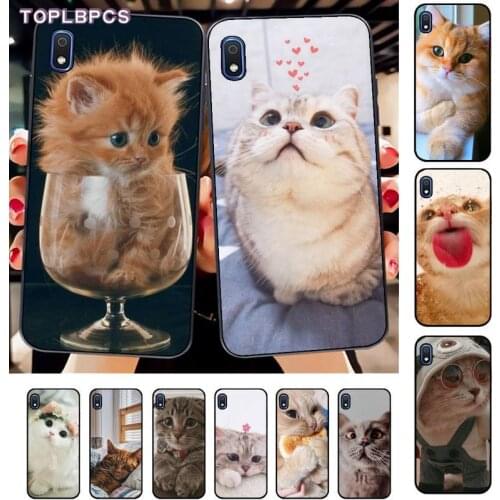 TOPLBPCS Cute Cat Kitten Soft Phone Case Capa for Samsung A10 20s 71 51 10 s 20 30 40 50 70 80 91 A30s 11 31