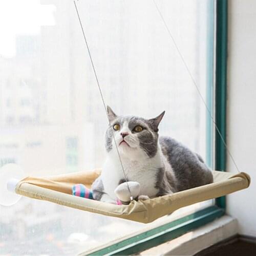 Bearing 20 Kg Cat Shelf Cushion Pet Cat Hammock Sun Glass Window Kitten Rest Sleeping Suction Cup Hammock Hammock Cat Litter Box