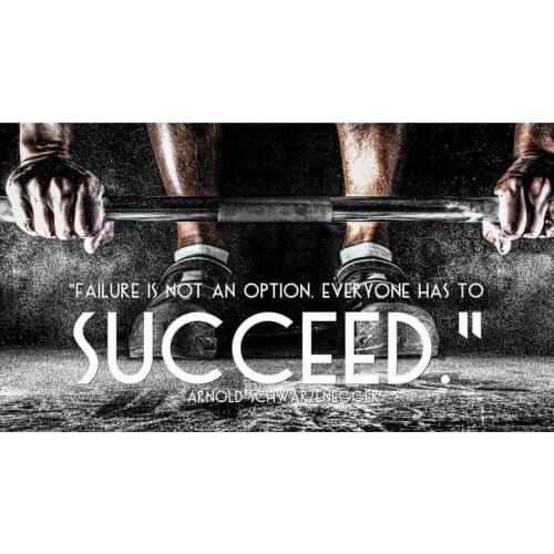 ARNOLD SCHWARZENEGGER - Bodybuilding Motivational Art Film Print Silk Poster Home Wall Decor 24x36inch
