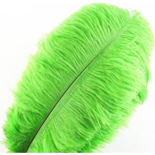 10Pcs/Lot Apple Green Ostrich Feather Decor 15-70cm/6-28" Ostrich Feathers for Crafts Craft Feathers Diy Pluma Plumas Carnaval