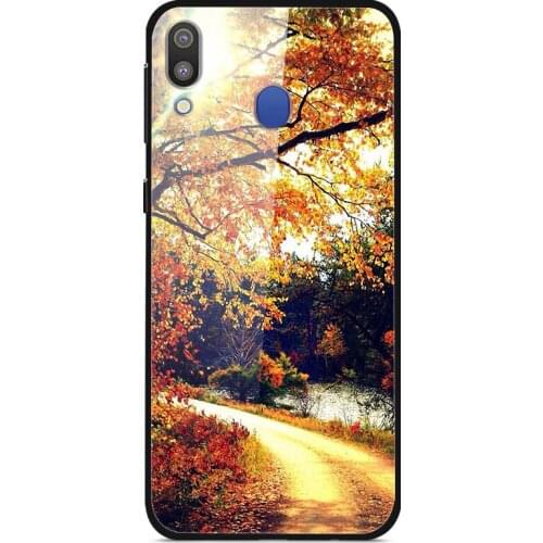 For Samsung Galaxy M20 Phone Case Tempered Glass Case Back Cover With Black Silicone Bumper Series 1