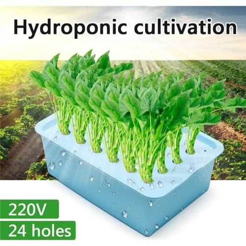 220V 24 Holes Hydroponic System Kit Indoor Aerobic Soilless Cultivation Water Planting Grow Box