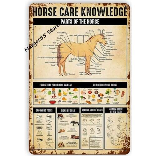 Horse Knowledge of The Types of Horse Metal Tin Sign Vintage Art Poster Outdoor for Bathroom Cafe Bar Garage Home Decor Wall