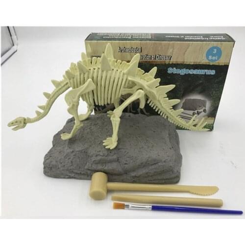 Пособия по биологии Lee's Sharing China At AliExpress