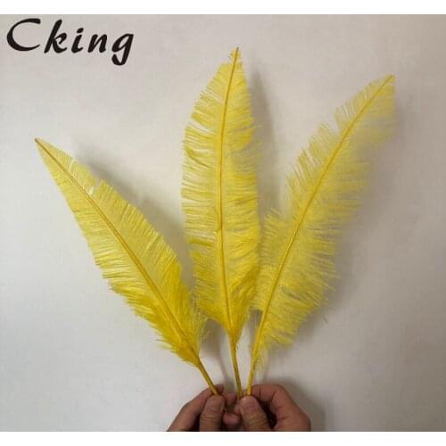 Free Shipping 50PCS Natural Ostrich Nandu Feather 45-50cm 18-20Inch Real Ostrich Plumes Wedding Decoration Carnival Crafts Pluma