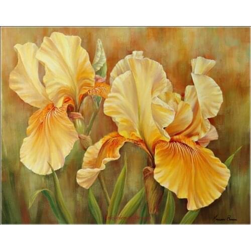 Yellow Iris - Counted Cross Stitch Kits - DIY Crafts Handmade Needlework Embroidery 14 ct Cross Stitch Sets DMC Color