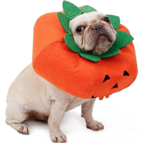 Dog Collar Adjustable E-Collar Wound Healing Prevent Bite Elizabeth Circle Pumpkin Shape Collar For Dogs Cat Halloween Dress UpQ