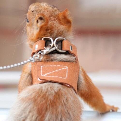 Durable Traction Rope Bite-resistant Anti-lost Breathable Faux Leather Pet Rabbit Hamster Small Animals Collar Home Pet Supplies