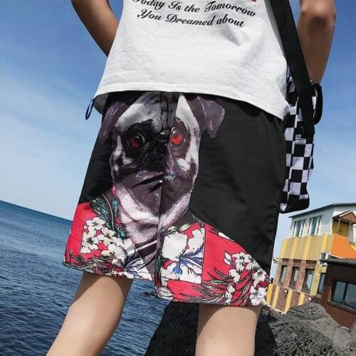 Mens Summer Shorts Pants Printed Men Funny Shorts 3d Dog Anime Shorts Male Youth Fashion Causal Beach Streetwear Short Homme