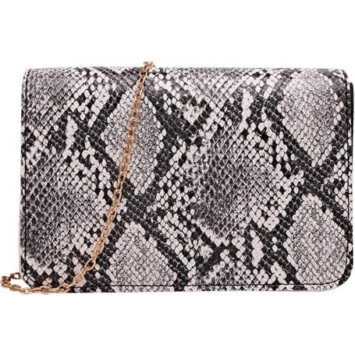 Women crossbody bag designer wallet coin purse female fashion snake pattern chain leather Shoulder Messenger Bag Cosmetic pouch