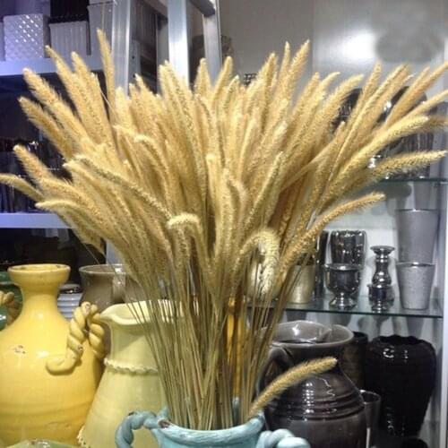 200pcs natural dried Lagurus ovatus bouquets&Uraria picta&rabbit tail grass flower bouquets bunches&dog tail grass bunches