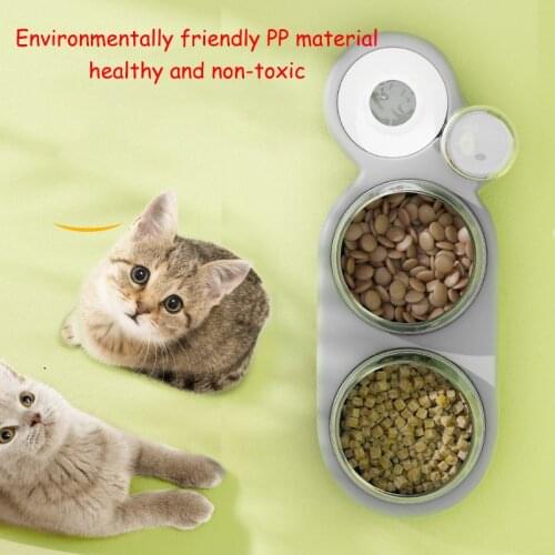Pet Cat Bowl Automatic Feeder Dog Food Bowl Double Bowl With 500ml Water Fountain For Cats Drinking Raised Stand Dish Bowls