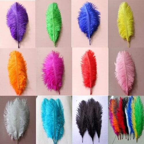 Free shipping multi color avaliable 6"-8"/15-20cm ostrich feathers plumage flapper dresses for craft /DIY accessories 100pcs/lot