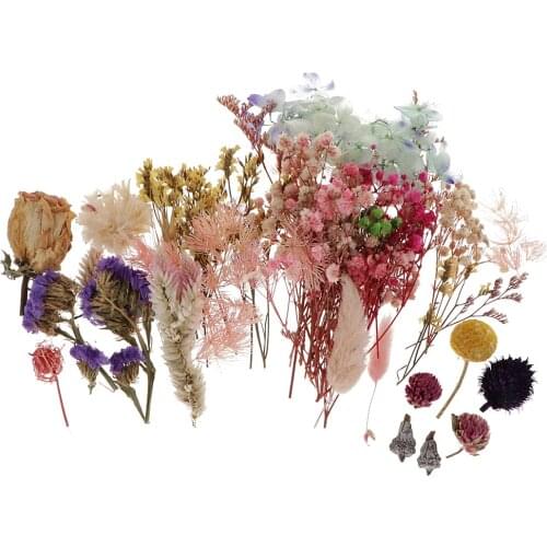 Various Real Press Dried Flowers Leaves For DIY Epoxy Resin Jewelry Making
