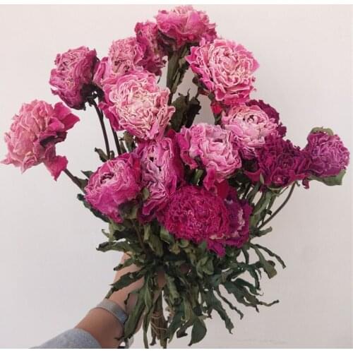 10pcs Artificial Peonies Natural Dried Flower Chinese Herbaceous Peony Table Centerpiece Pink Room Decor Gifts MotherS Day