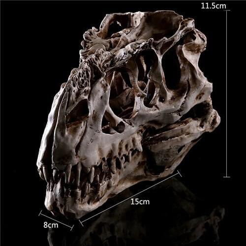 1PC Tyrannosaurus Rex Dinosaur Skull Handicrafts Resin Fossil Simulation Skull Model For Collectibles Light Color 15*11.5*8cm