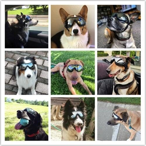 Pet Outdoor Sunglasses Medium-sized Dog Supplies Eye-protection Goggles Large Breed Waterproof Wind-Resistant Anti UV Spectacles