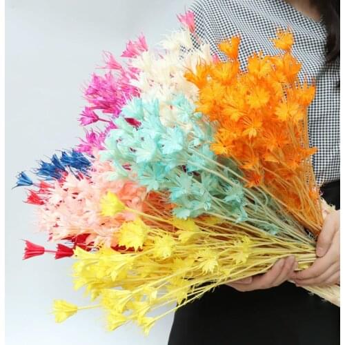 Dried Flower Bouquet,DIY Dry Eternelle Star Anise Flower For Home Decor,Floral Arrangement,Photography Photo Backdrop Decoration