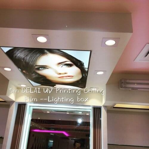 H1 Black Straight hair style Printing stretch ceiling film for workshop ceiling decoration Attractive Printing ceiling film
