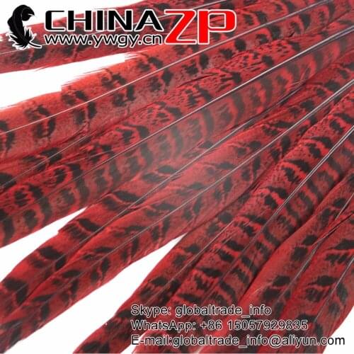 CHINAZP Factory 100pcs/lot 12 ~14inch(30-35cm) Length Dyed Red Prime Quality Ringneck Hen Pheasant Tail Feathers