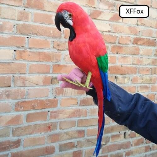 Big real life red&green&blue parrot model foam&feather simulation new parrot bird gift about 60cm xf0175