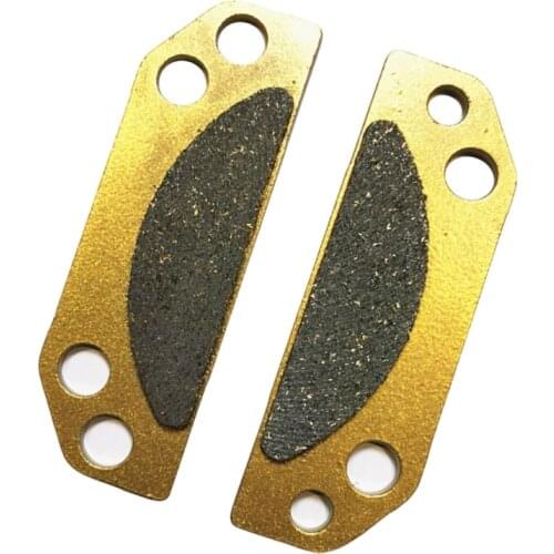 Wearproof Front Disc Brake Plate 2203147 Parking Brake Pad for Motorbike Scooter High Quality Brake Pads