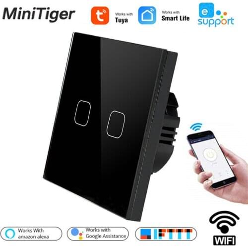 Smart Home Tuya/Smart Life/ewelink 2 Gang 1 Way WiFi Wall Light Touch Switch for Google Home Amazon Alexa Voice Control