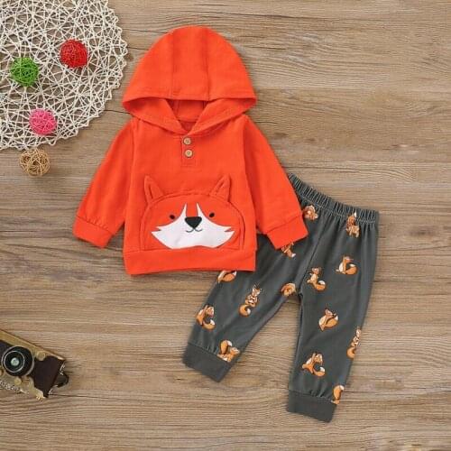 Spring Toddler Baby Girl Boys Long Sleeve Cotton Print Long Sleeve Hooded Tops + Trousers Pants Winter Clothes