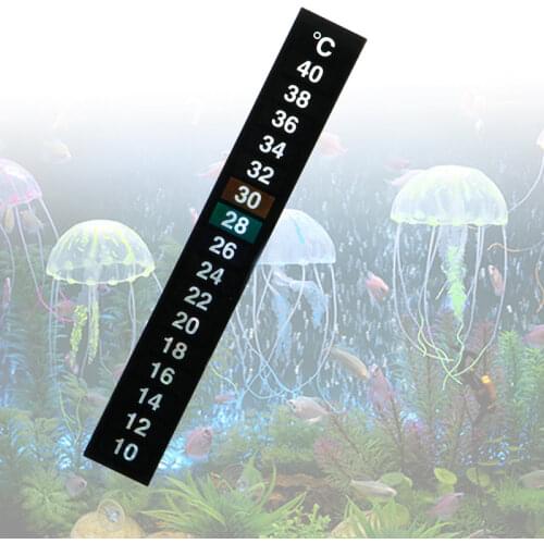 250ml/bag Fish Tank Freshwater Dried Fishes Turtle Feed Water Turtles Brazilian Tortoise Pet Food Calcium Supplement