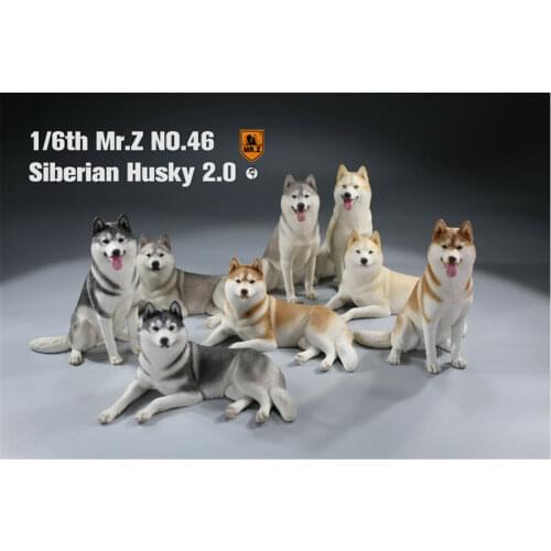 Mr.Z&Xmmos 1:6 Scale Siberian Husky 2.0 Dog Pet Healing Figure Huskie Animal Model Toy Collector Decoration Kid Gift