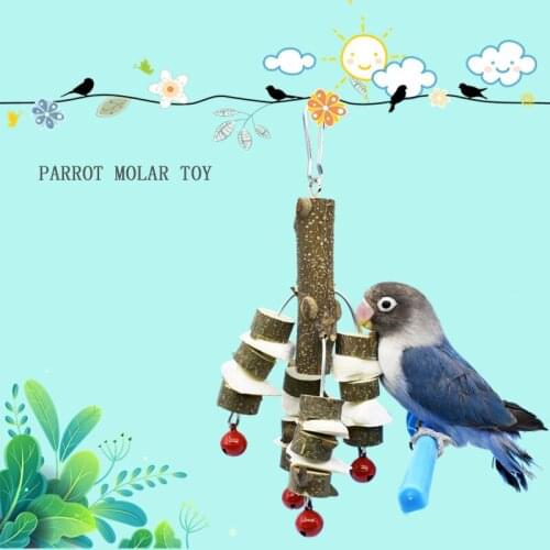 Parrot Bird Pet Calcium Supplement Rabbit Molar Hamster Toy Pepper Wooden Skewers Play Molar Cuttlefish Bone Chewing Bird Toy