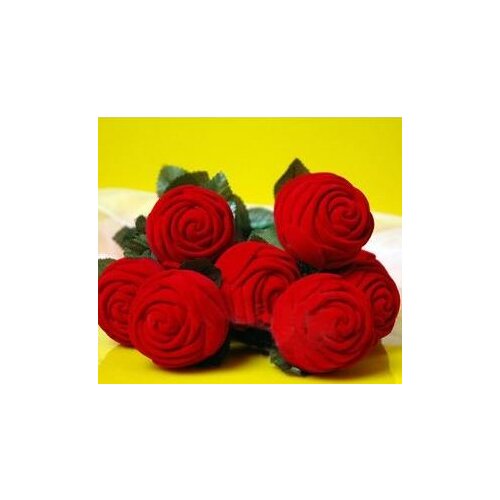 ZQION Jewelry