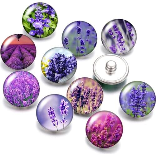 Flowers lavender Succulent plants rose 18mm snap buttons 10pcs mixed round photo glass cabochon style for snap button jewelry