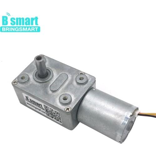 Bringsmart JGY-2430 12 Volt DC Worm Gear Motor Brushless Self-locking Reversible Geared Motor DC Tachogenerator