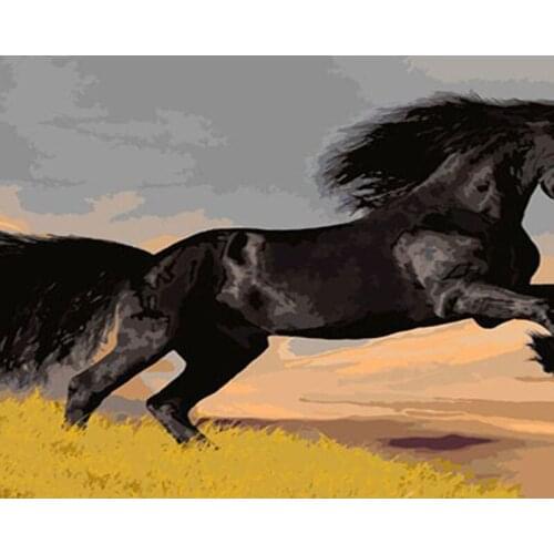 Painting By Number Horse Animal Frame On Canvas Acrylic Paint Oil Picture By Number Color Drawing DIY For Adults Kits Home Decor