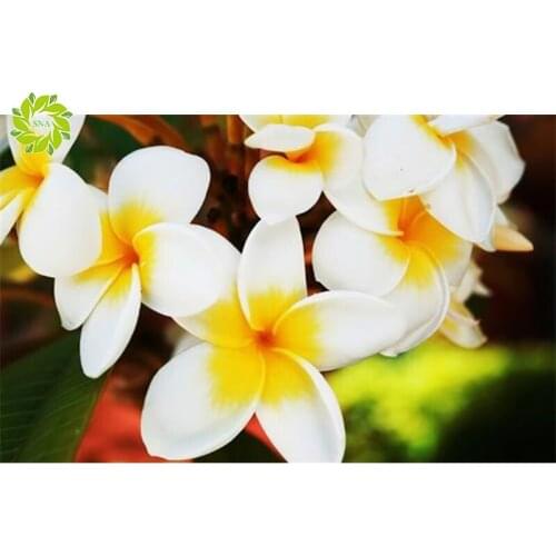 Full Square/Round crystal drill DIY Diamond embroidery Pilmeria Diamond Painting Cross Stitch Rhinestone Mosaic decoration