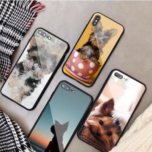 Yorkshire terrier dog Tempered Glass Phone Case For iphone 12 11 Pro Max 5 6 7 8 PLUS X XS XR XSMax Shell