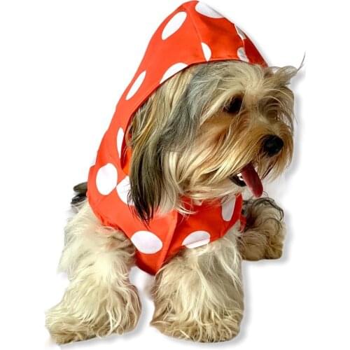 Big Dots Orange Raincoat With Hood, Dog Raincoat, Dog Clothes, Pet Clothes