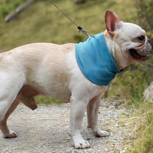 Summer Dog Cooling Bandana Breathable Heat Dissipation Headscarf Feeling Cool Collar for Dogs Pet Accessories