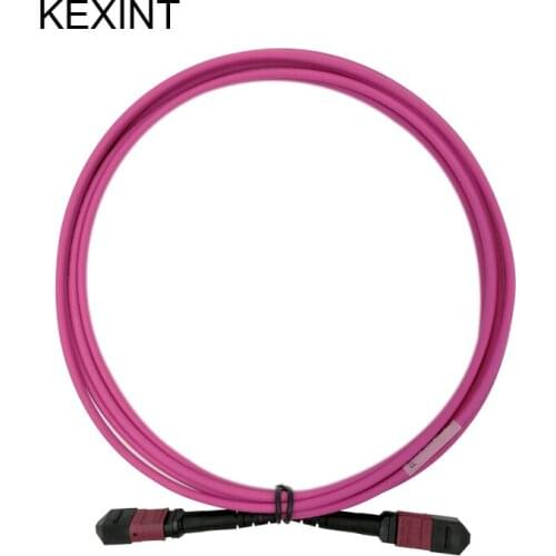 KEXINT Fiber Optical Patch Cord MTP-MTP OM4 24core 40G Fiber Patch Cables / 3Meters