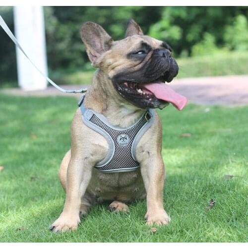 Dog Harness with Leash Summer Pet Adjustable Reflective Vest Walking Lead for Puppy Polyester Mesh Harness for Small Medium Dog