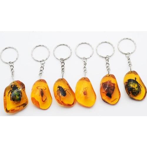 6pcs/Set Natural Insect Stone Natural Scorpions Inclusion Genuine Baltic Pendant Necklace special gift