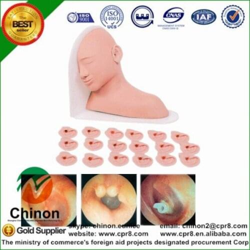 BIX-LV16 Senior Human Ears Medical Check Aural Region Examine Model
